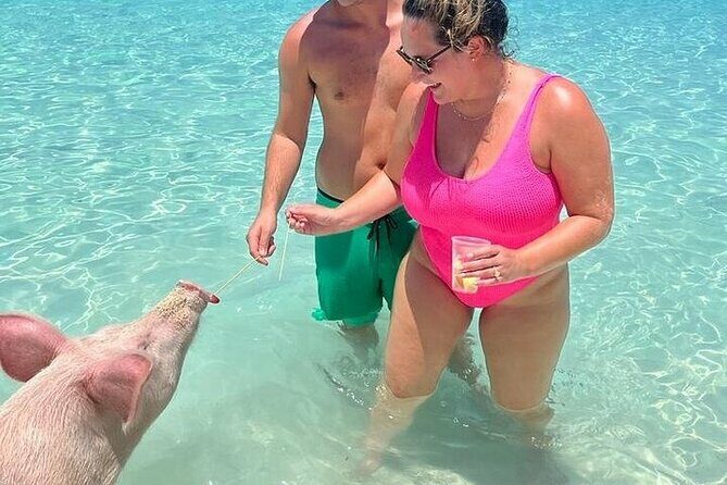 All Inclusive Pig Encounter, Snorkeling, Turtles, Lunch & Beach - Final Thoughts