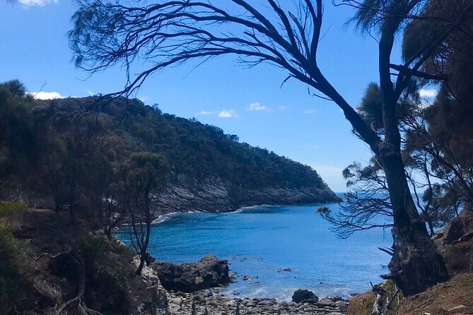 All Inclusive Private Bruny Island Discovery Tour - Tour Highlights