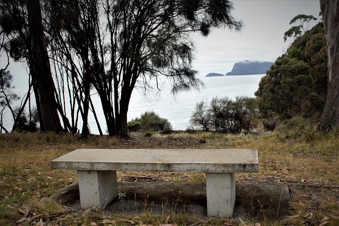 All Inclusive Private Bruny Island Discovery Tour - Customization Options