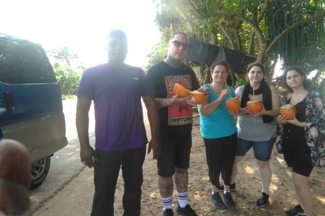 All Inclusive Private Day Tour Sigiriya, Dambulla & Traditional Village Tour - Accessibility and Additional Information