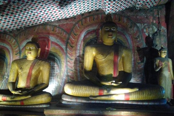 All Inclusive Private Day Tour Sigiriya, Dambulla & Traditional Village Tour - Reviews and Feedback
