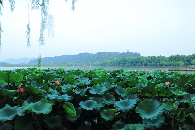 All-Inclusive Private Day Tour to Hangzhou by Bullet Train - Meeting and Pickup
