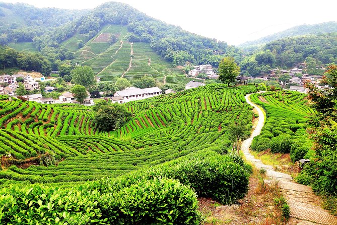 All-Inclusive Private Day Tour to Hangzhou by Bullet Train - Additional Information