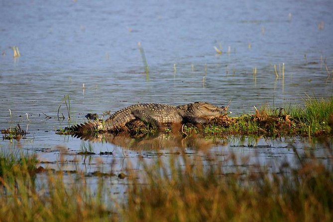 All Inclusive Private Day Tour to Wipattu National Park From Negombo - Tour Details