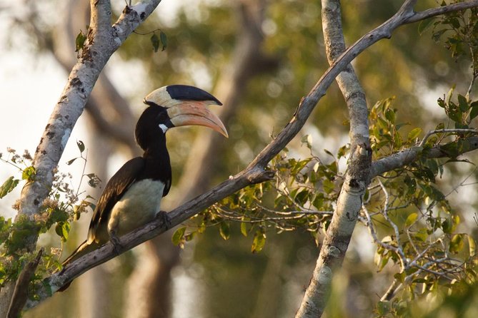 All Inclusive Private Day Tour to Wipattu National Park From Negombo - Wildlife Sightings