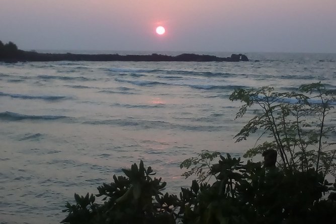All Inclusive Private Day Trip to Southern Srilanka Galle, Bentota - Flexible Booking and Cancellation