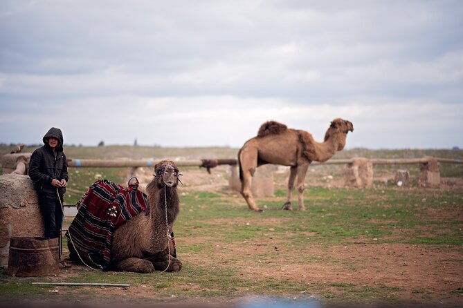 All-inclusive Private Guided 2-day Tour of Sanliurfa - Inclusions
