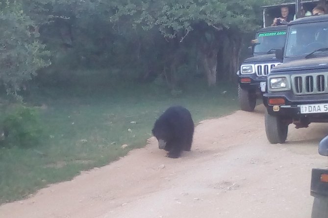 All Inclusive Private Jeep Safari at Yala National Park - Key Points