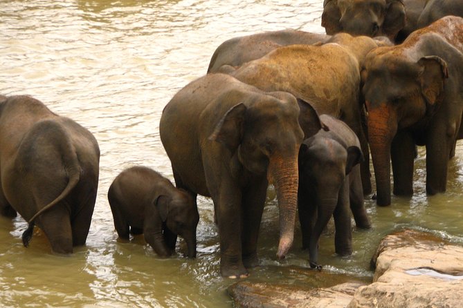 All Inclusive Private Jeep Safari at Yala National Park - Customer Reviews and Satisfaction