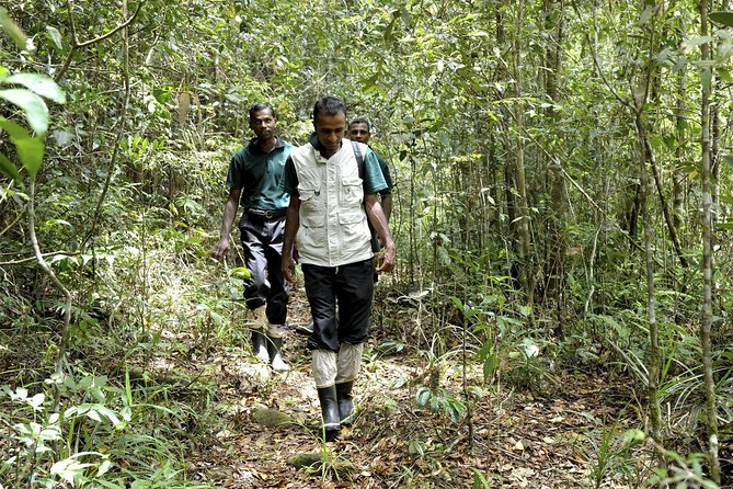 All Inclusive - Private Overnight Rain Forest Adventure in Sinharaja - Inclusions