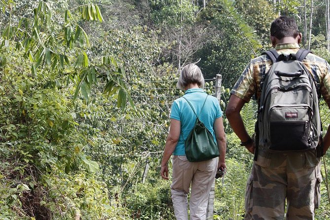 All Inclusive - Private Overnight Rain Forest Adventure in Sinharaja - Pickup Information