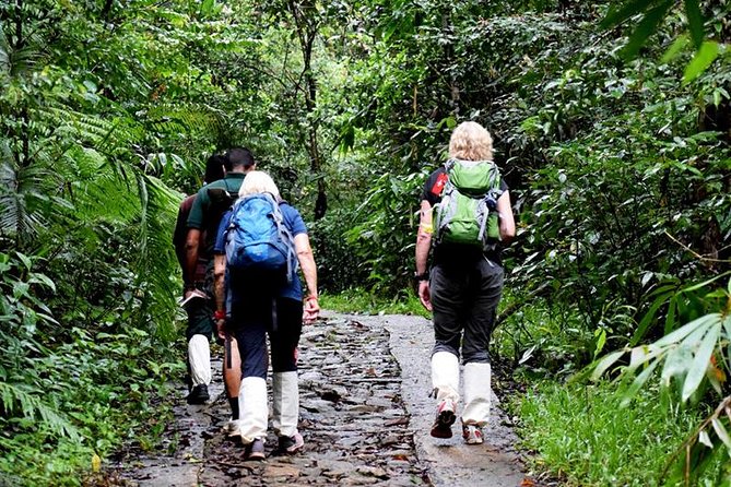 All Inclusive - Private Overnight Rain Forest Adventure in Sinharaja - Pricing