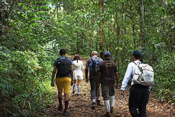 All Inclusive - Private Overnight Rain Forest Adventure in Sinharaja - Reviews