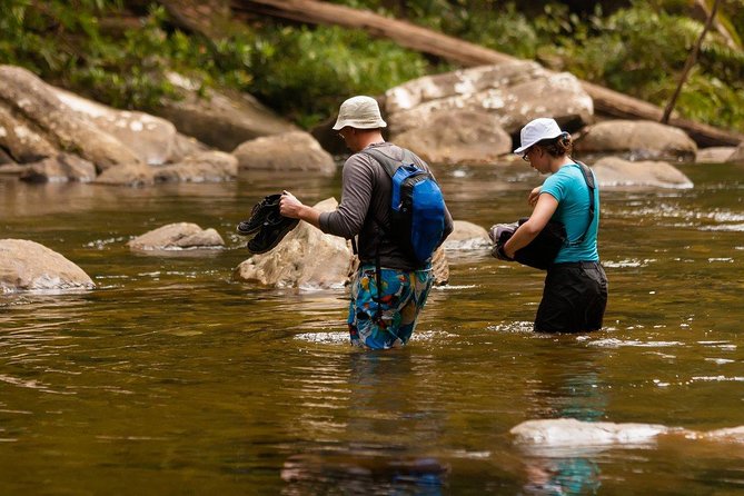 All Inclusive - Private Overnight Rain Forest Adventure in Sinharaja - Exploring the Rain Forest