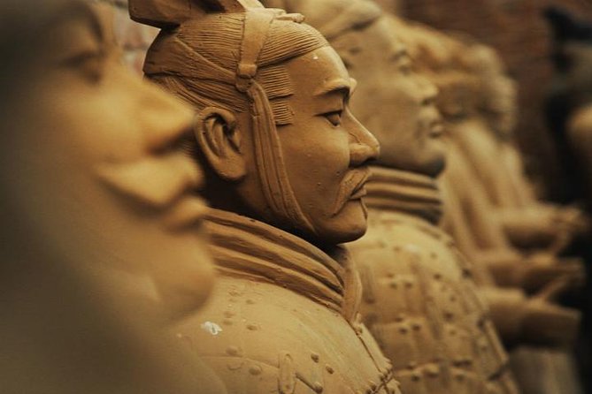 All Inclusive Private Tour: Terracotta Warriors Museum & Lunch - Transportation & Accessibility