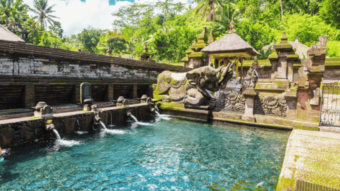 All-Inclusive Private Ubud Tour With Jungle Swing - Coffee Plantation and Jungle Swing