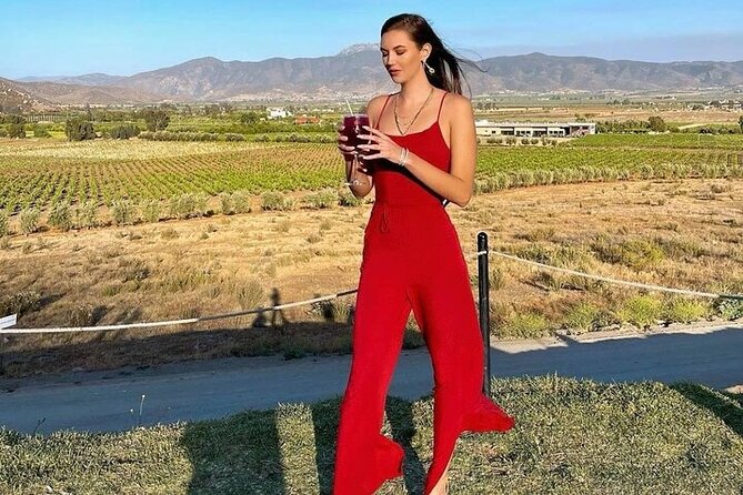 All-Inclusive Private Wine Tour in Baja - Inclusions and Exclusions