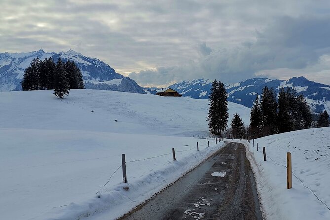 All Inclusive Rhine Falls and Appenzell Private Day Tour From Zurich - Exploring Rhine Falls