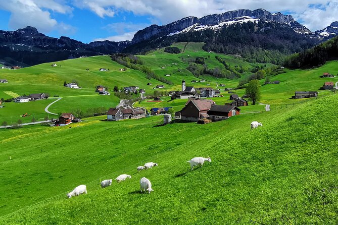 All Inclusive Rhine Falls and Appenzell Private Day Tour From Zurich - Traveler Feedback