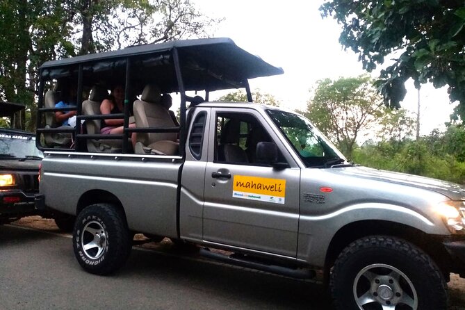 All Inclusive Safari at Udawalawa National Park - Taking in Udawalawas Wildlife Wonders