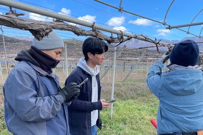 All Inclusive Sake BRE and Winery Tour With View of Mt. Fuji - Pricing and Booking