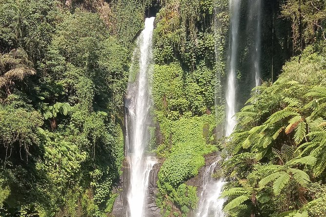 All Inclusive Sekumpul Waterfall Trekking , Handara Gate & Temple - Guest Reviews