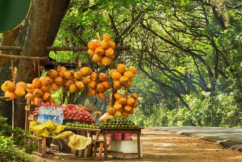 All Inclusive Sigiriya and Dambulla Day Tour From Colombo - Dambulla Royal Cave Temple and Golden Temple
