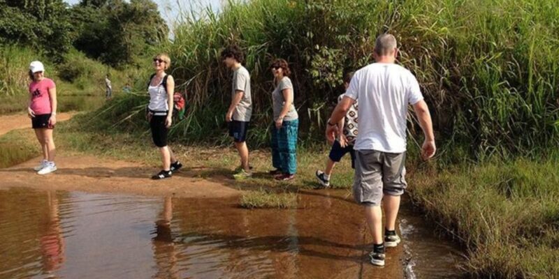 All-Inclusive Sigiriya Village Tour With Traditional Lunch - Itinerary Details