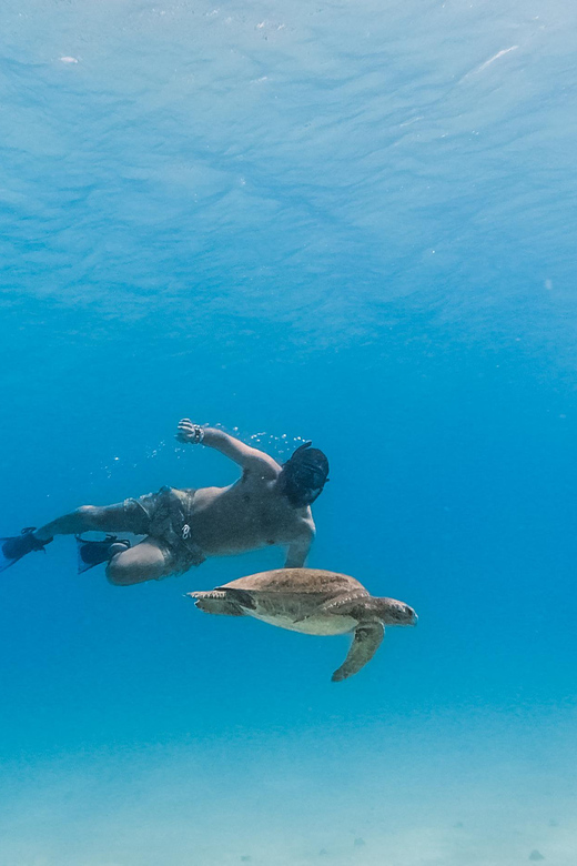 All-Inclusive Snorkel in Balandras Hidden Beaches, La Paz - Experience Highlights