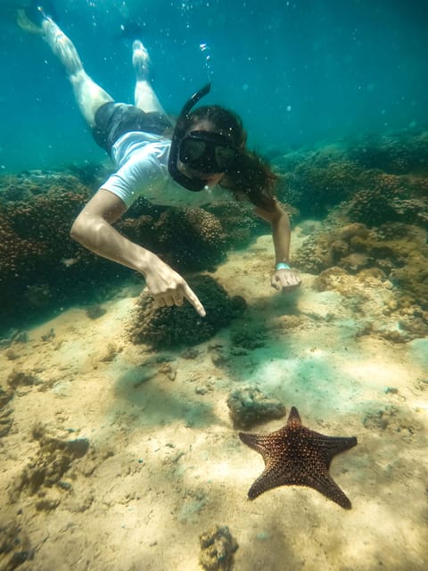 All-Inclusive Snorkel in Balandras Hidden Beaches, La Paz - Inclusions