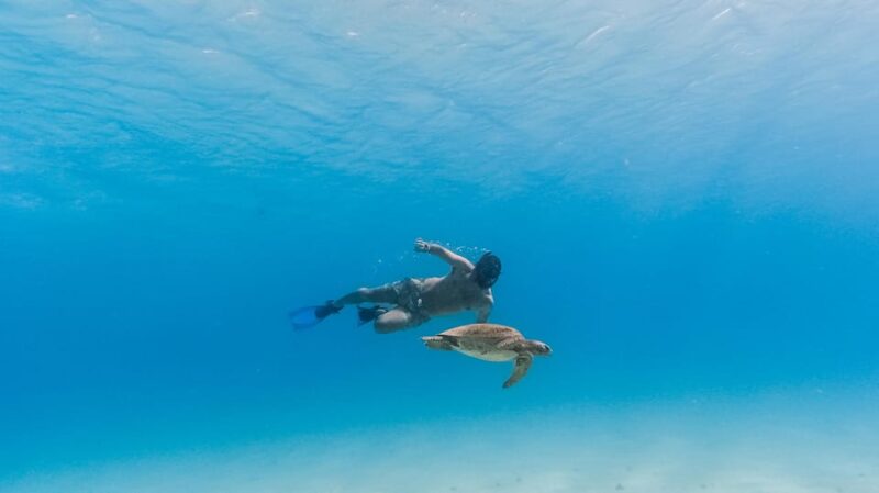 All-Inclusive Snorkel in Balandras Hidden Beaches, La Paz - Important Considerations