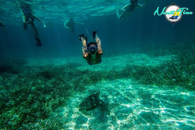 All Inclusive Snorkeling at Hol Chan - Shipwreck and Coral Reefs