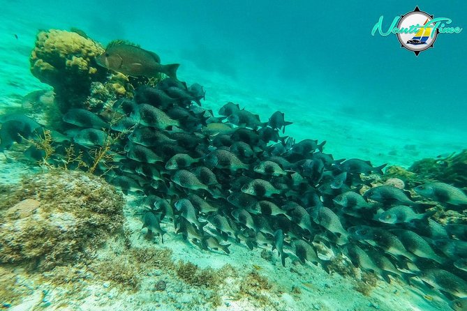 All Inclusive Snorkeling at Hol Chan - Tour Inclusions