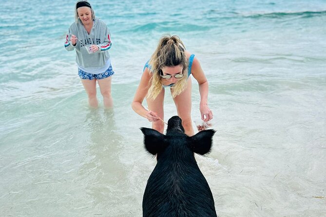 All Inclusive - Swimming Pigs Private Charter - About Your Stay