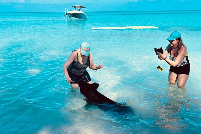 All Inclusive - Swimming Pigs Private Charter - Whats Included