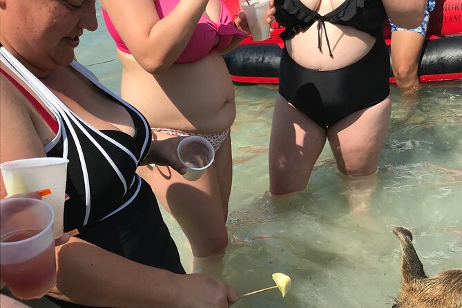 All Inclusive Swimming With The Pigs - Personalizable Private Tour Experience