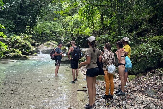 ALL INCLUSIVE Tour Through the Water Trail La Plaza - Review Highlights From Carolina_C