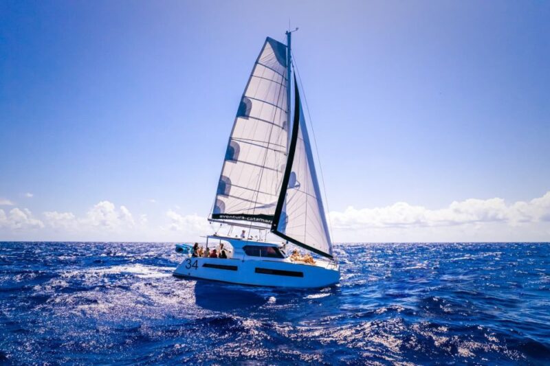 All-Inclusive Tulum: 4hrs Coast & Fun in 34 Cat Aventura - Inclusions