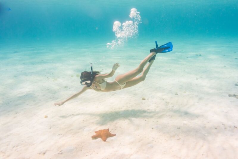 All-Inclusive Tulum: 5hrs El Cielo Express in 50 Cranchi - Experience Highlights