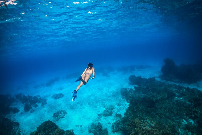 All Inclusive Tulum: Private Luxury Catamarán 51 Leopard 4hrs - Special Occasion Celebration