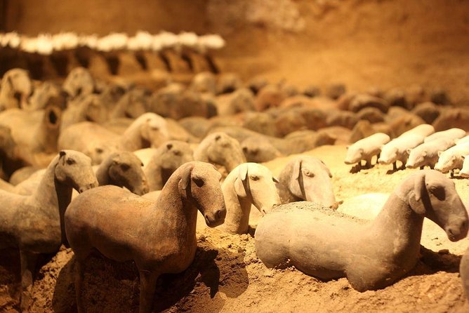 All Inclusive Two-Day Xian Private Heritage Tour - Inclusions and Accessibility