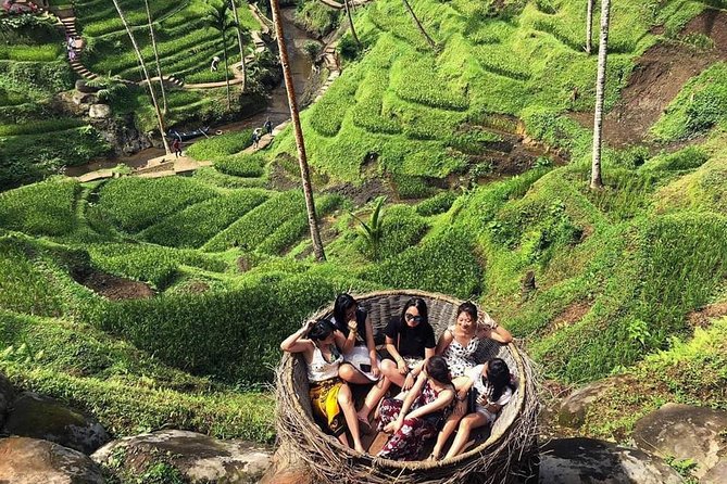 All Inclusive Ubud ATV Riding,Rice Terrace View & Ubud Swing - Tour Schedule