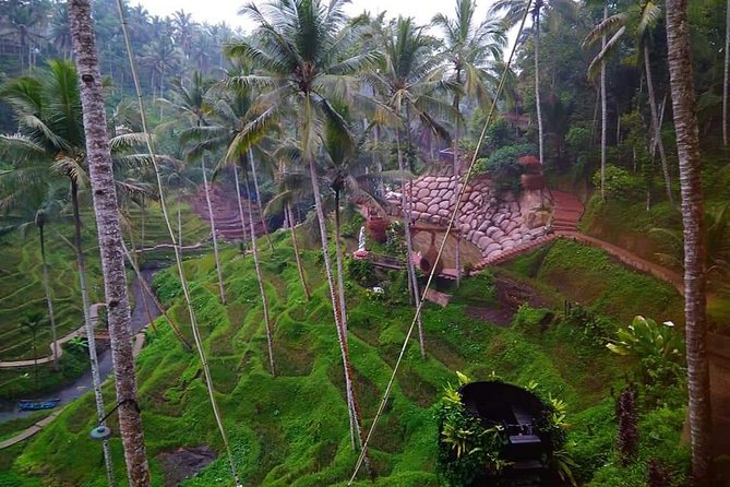 All Inclusive Ubud ATV Riding,Rice Terrace View & Ubud Swing - Booking and Cancellation