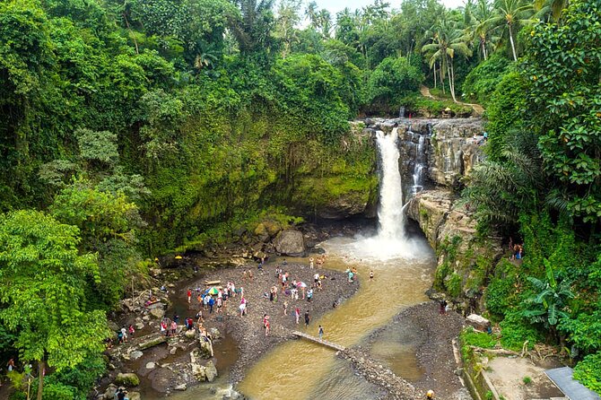 All-Inclusive Ubud Bali Private Full-Day Tour - Inclusions