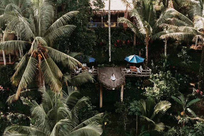 All-Inclusive Ubud Private Tour - Confirmation and Accessibility