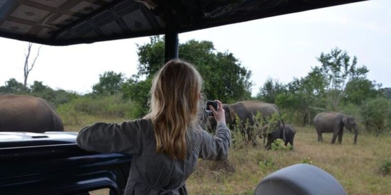All Inclusive Udawalawe National Park Safari, With Lunch! - Key Points
