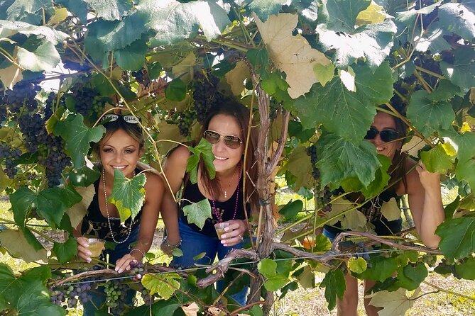 All Inclusive VIP Wine or Beer Tour in Hudson Valley - Frequently Asked Questions