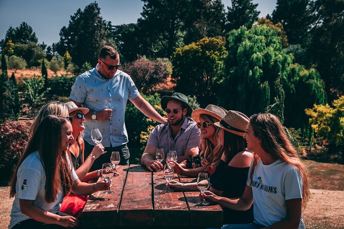 All-Inclusive Waipara Region Wine Tour From Christchurch - Guest Experiences and Feedback