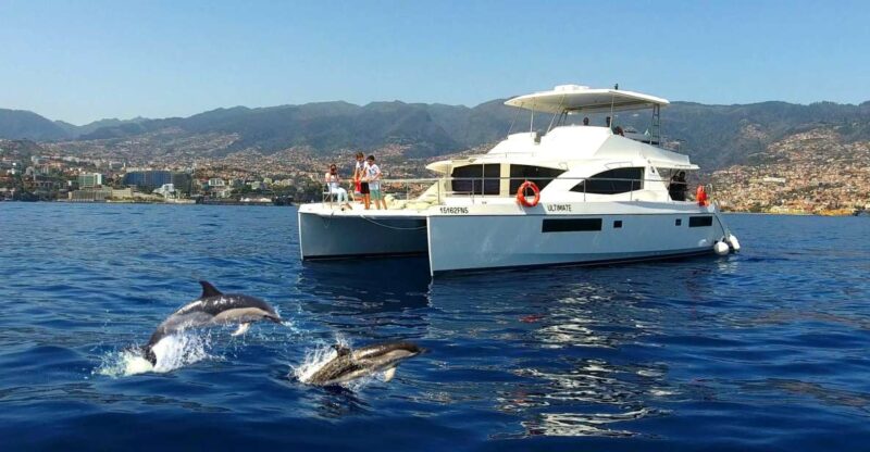 All Inclusive Whale and Dolphin Watching Luxury Tour - Amenities and Accessibility