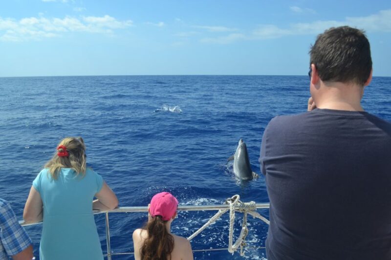 All Inclusive Whale and Dolphin Watching Luxury Tour - Languages and Meeting Point